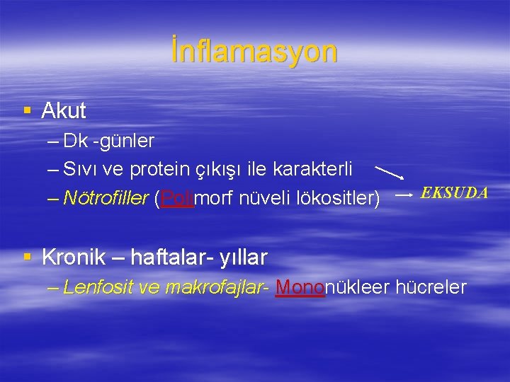 İnflamasyon § Akut – Dk -günler – Sıvı ve protein çıkışı ile karakterli –