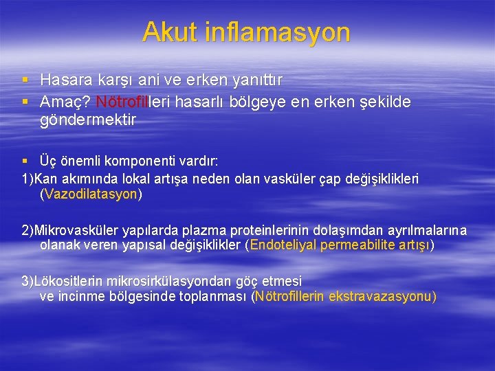 Akut inflamasyon § Hasara karşı ani ve erken yanıttır § Amaç? Nötrofilleri hasarlı bölgeye