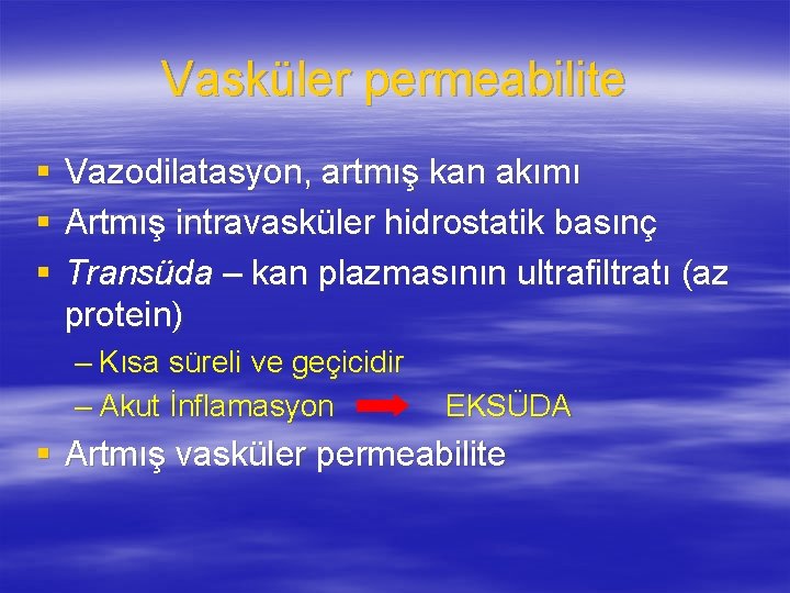 Vasküler permeabilite § § § Vazodilatasyon, artmış kan akımı Artmış intravasküler hidrostatik basınç Transüda