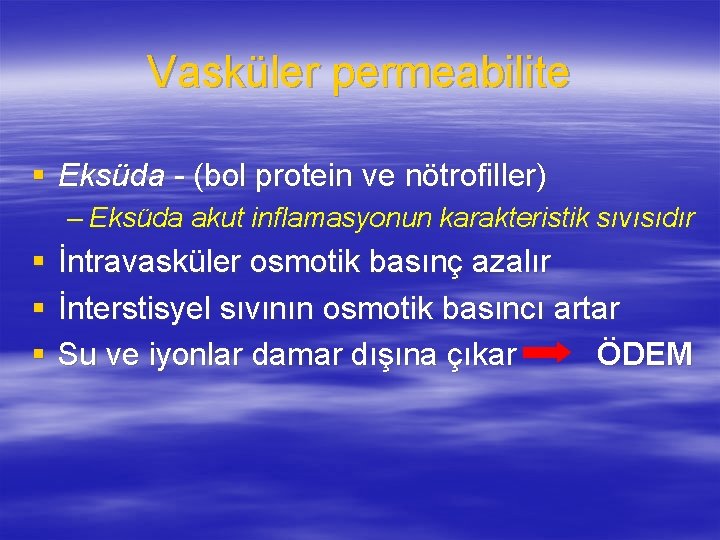 Vasküler permeabilite § Eksüda - (bol protein ve nötrofiller) – Eksüda akut inflamasyonun karakteristik