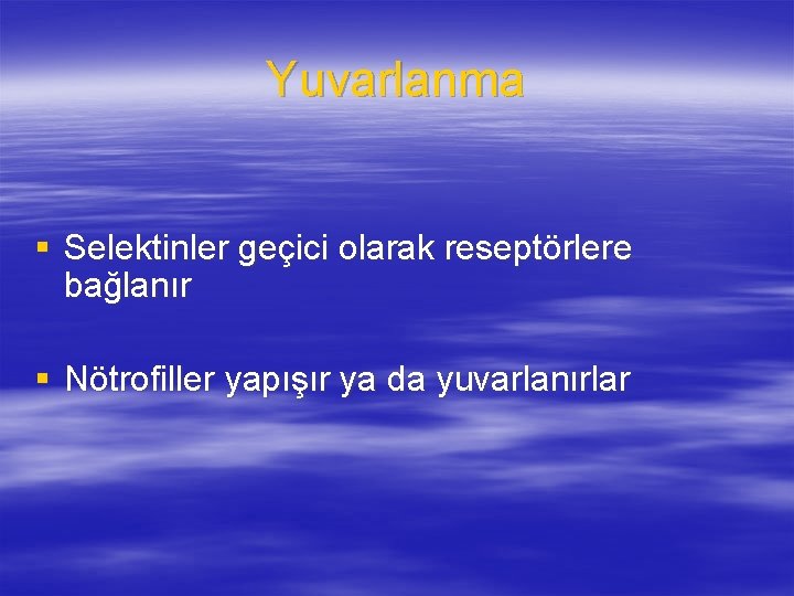 Yuvarlanma § Selektinler geçici olarak reseptörlere bağlanır § Nötrofiller yapışır ya da yuvarlanırlar 