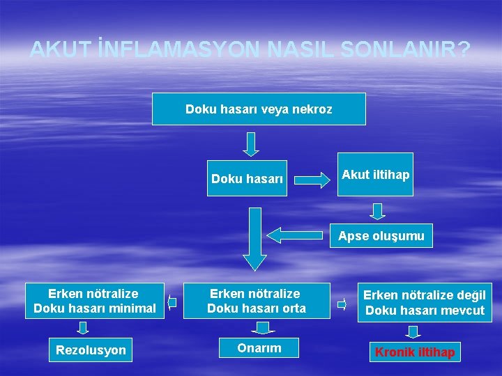 AKUT İNFLAMASYON NASIL SONLANIR? Dokuhasarıveya nekroz Doku hasarı Akut iltihap Apse oluşumu Erken nötralize