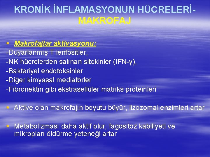 KRONİK İNFLAMASYONUN HÜCRELERİMAKROFAJ § Makrofajlar aktivasyonu: -Duyarlanmış T lenfositler, -NK hücrelerden salınan sitokinler (IFN-γ),