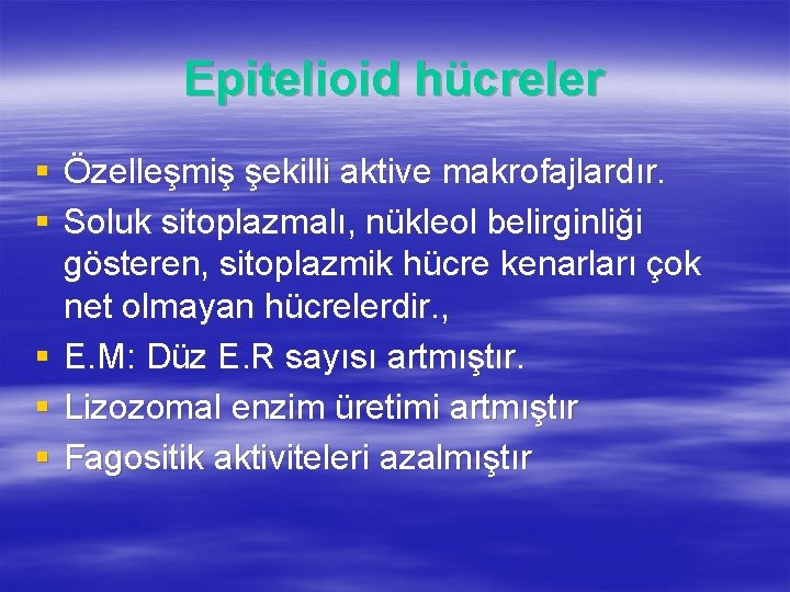 Epitelioid hücreler § Özelleşmiş şekilli aktive makrofajlardır. § Soluk sitoplazmalı, nükleol belirginliği gösteren, sitoplazmik