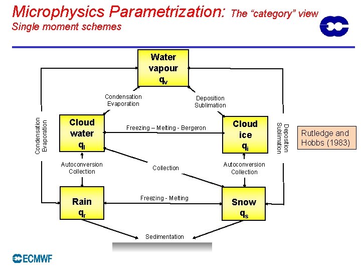 Microphysics Parametrization: The “category” view Single moment schemes Water vapour qv Cloud water ql