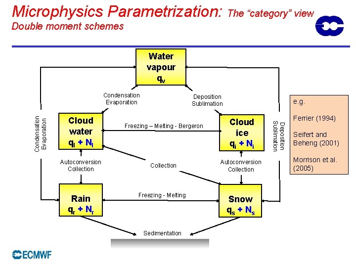 Microphysics Parametrization: The “category” view Double moment schemes Water vapour qv Cloud water ql