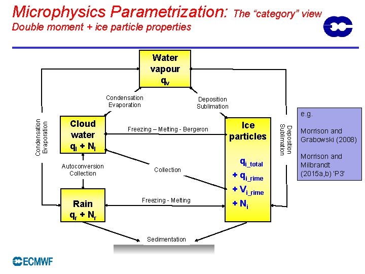 Microphysics Parametrization: The “category” view Double moment + ice particle properties Water vapour qv