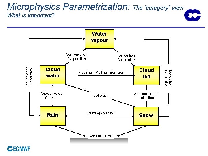 Microphysics Parametrization: The “category” view What is important? Water vapour Deposition Sublimation Cloud water