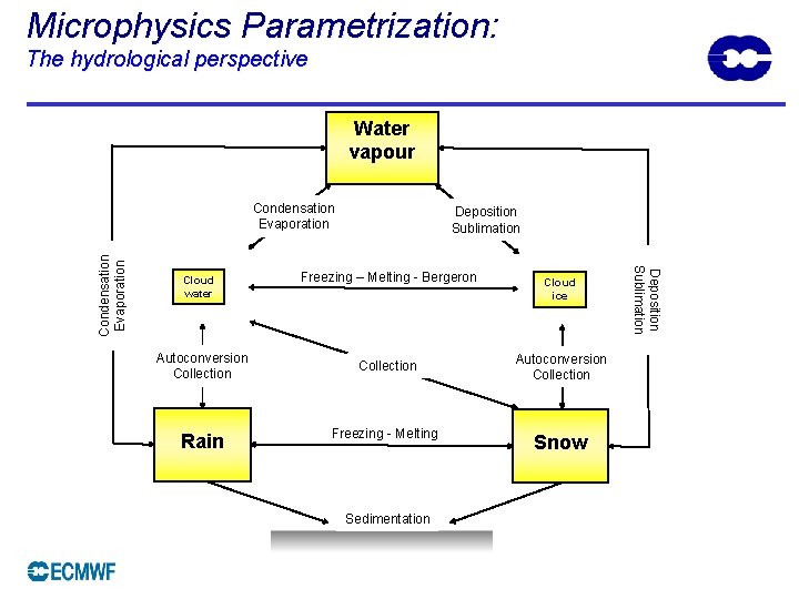 Microphysics Parametrization: The hydrological perspective Water vapour Cloud water Autoconversion Collection Rain Deposition Sublimation