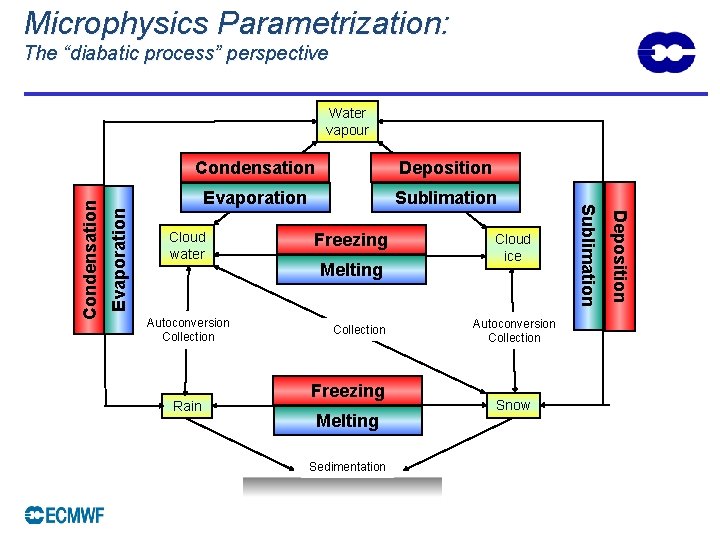 Microphysics Parametrization: The “diabatic process” perspective Deposition Evaporation Sublimation Cloud water Autoconversion Collection Rain