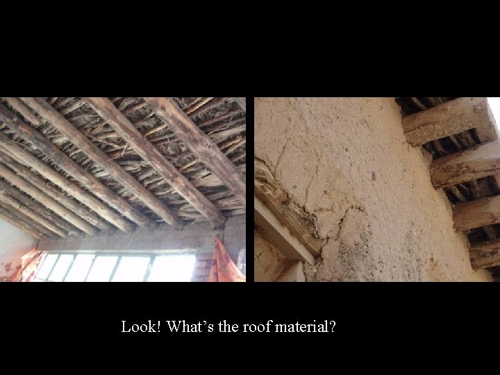 Look! What’s the roof material? 