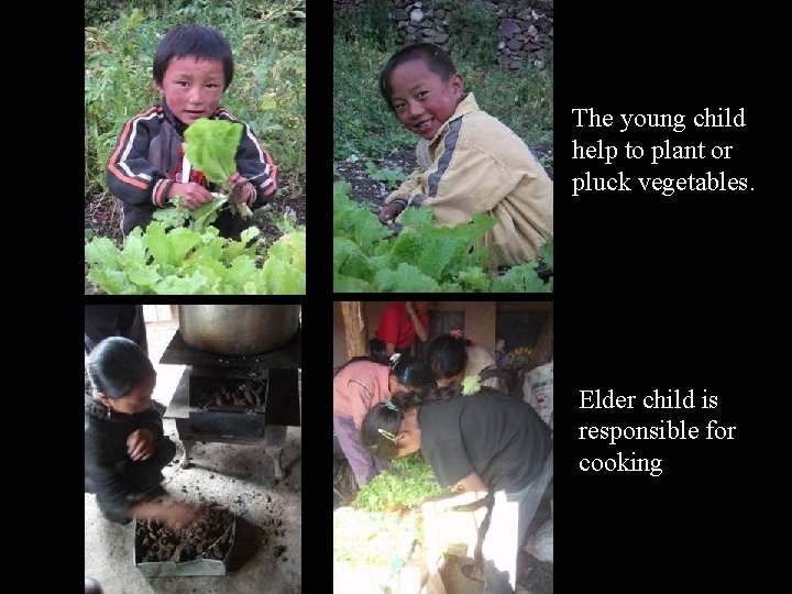 The young child help to plant or pluck vegetables. Elder child is responsible for