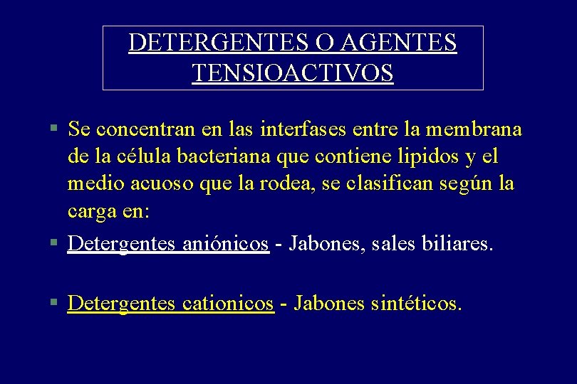 DETERGENTES O AGENTES TENSIOACTIVOS § Se concentran en las interfases entre la membrana de