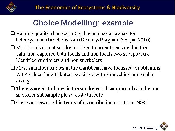 Choice Modelling: example q Valuing quality changes in Caribbean coastal waters for heterogeneous beach