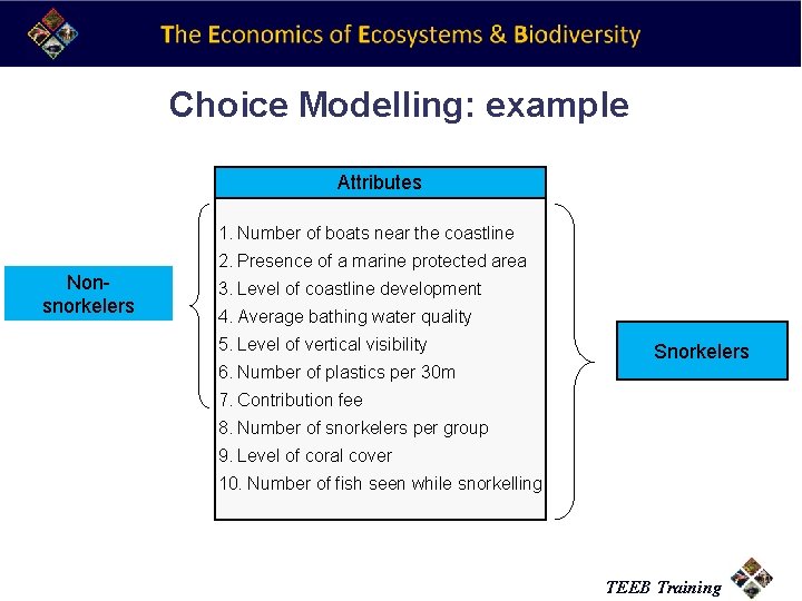 Choice Modelling: example Attributes 1. Number of boats near the coastline Nonsnorkelers 2. Presence