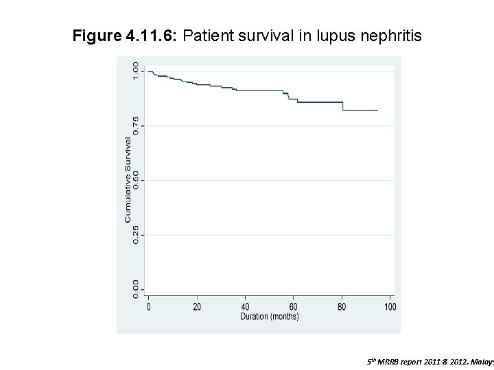 Figure 4. 11. 6: Patient survival in lupus nephritis 5 th MRRB report 2011