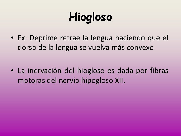 Hiogloso • Fx: Deprime retrae la lengua haciendo que el dorso de la lengua