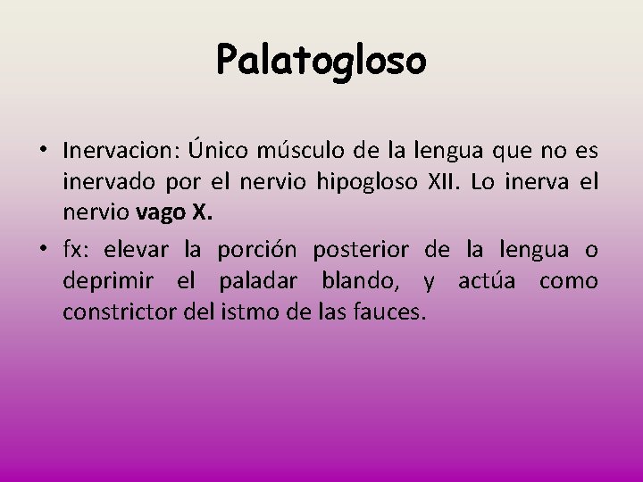 Palatogloso • Inervacion: Único músculo de la lengua que no es inervado por el