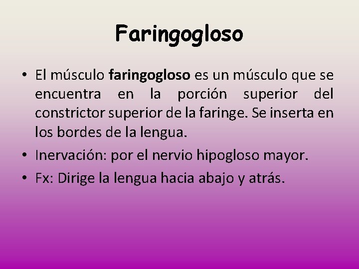 Faringogloso • El músculo faringogloso es un músculo que se encuentra en la porción