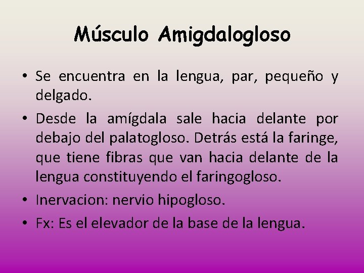 Músculo Amigdalogloso • Se encuentra en la lengua, par, pequeño y delgado. • Desde