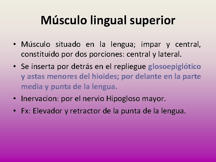 Músculo lingual superior • Músculo situado en la lengua; impar y central, constituido por