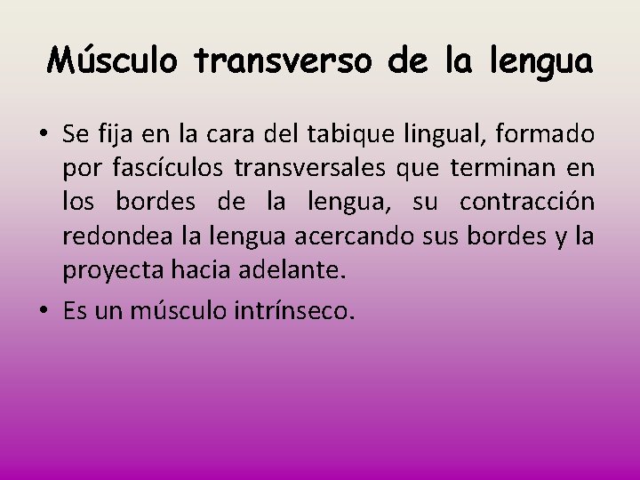 Músculo transverso de la lengua • Se fija en la cara del tabique lingual,
