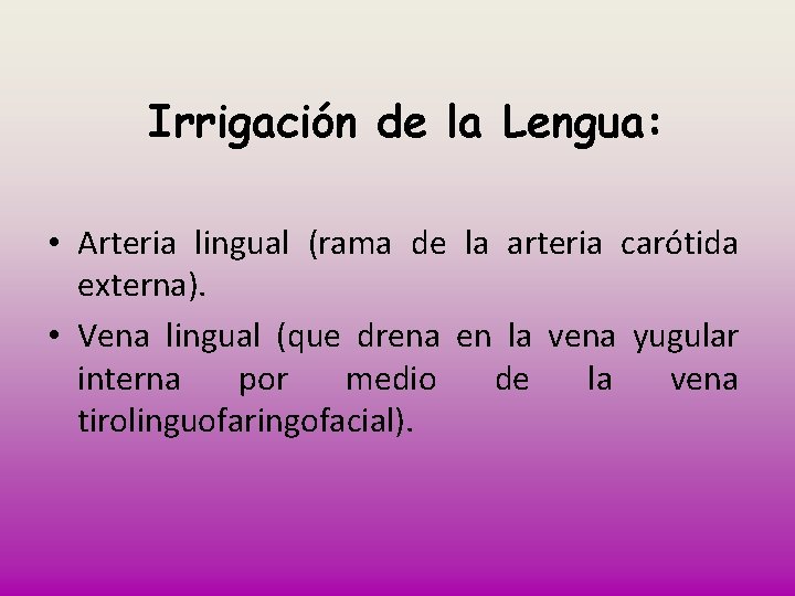 Irrigación de la Lengua: • Arteria lingual (rama de la arteria carótida externa). •