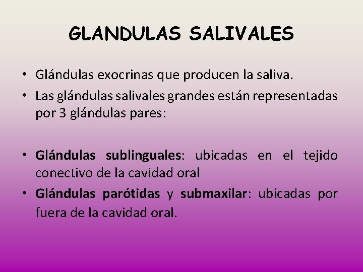 GLANDULAS SALIVALES • Glándulas exocrinas que producen la saliva. • Las glándulas salivales grandes