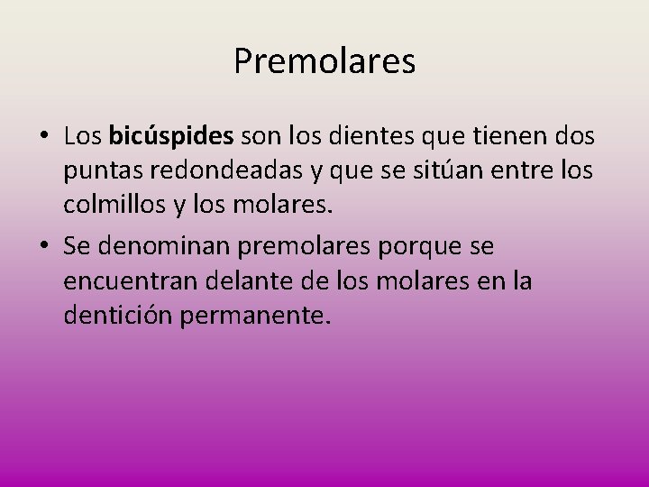 Premolares • Los bicúspides son los dientes que tienen dos puntas redondeadas y que