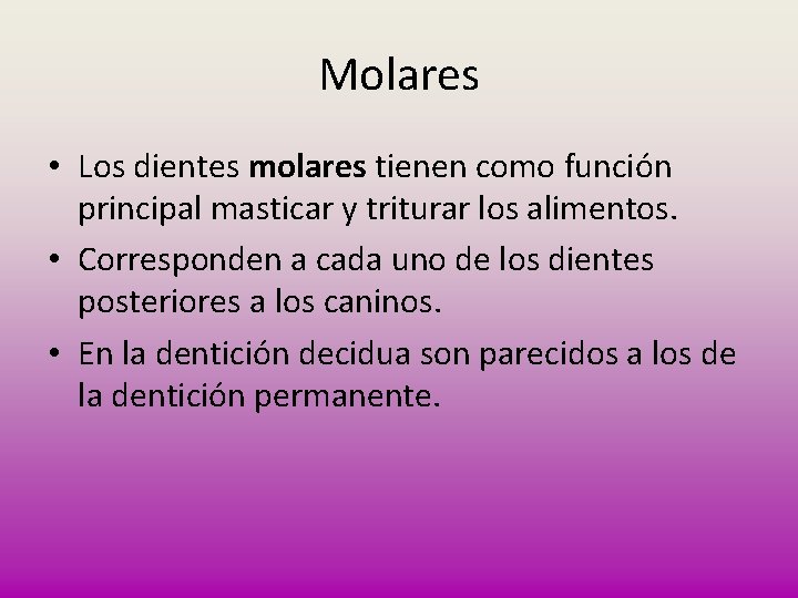 Molares • Los dientes molares tienen como función principal masticar y triturar los alimentos.