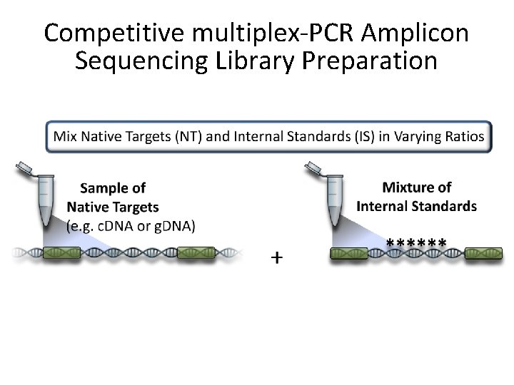 Competitive multiplex-PCR Amplicon Sequencing Library Preparation 