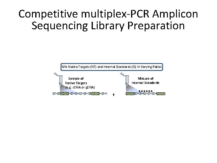 Competitive multiplex-PCR Amplicon Sequencing Library Preparation Mix Native Targets (NT) and Internal Standards (IS)