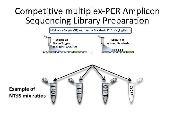 Competitive multiplex-PCR Amplicon Sequencing Library Preparation Mix Native Targets (NT) and Internal Standards (IS)