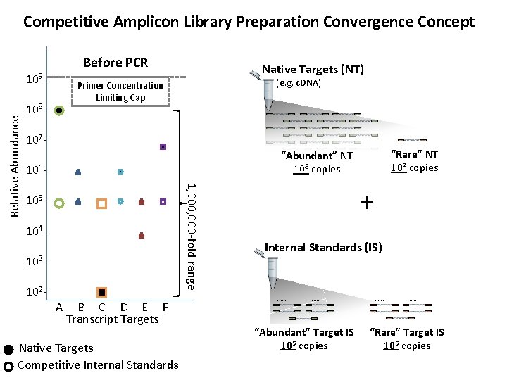 Competitive Amplicon Library Preparation Convergence Concept Before PCR Native Targets (NT) (e. g. c.