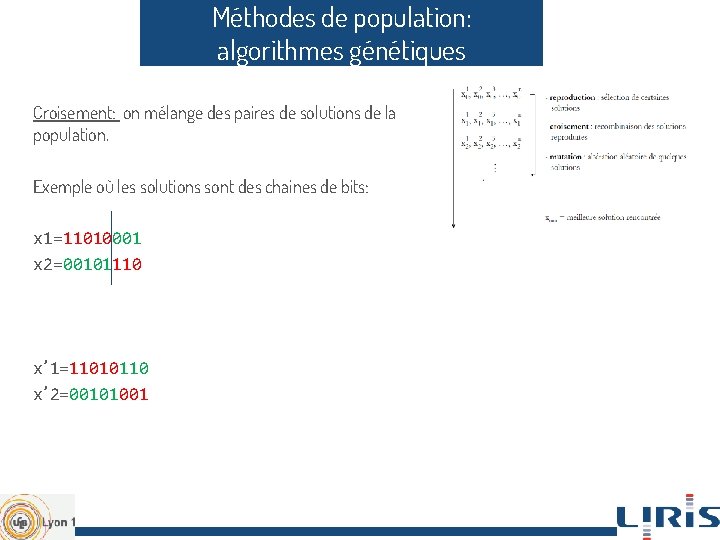 Méthodes de population: algorithmes génétiques Croisement: on mélange des paires de solutions de la