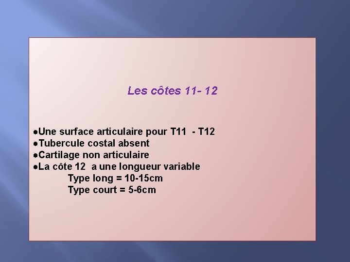 Les côtes 11 - 12 ●Une surface articulaire pour T 11 - T 12