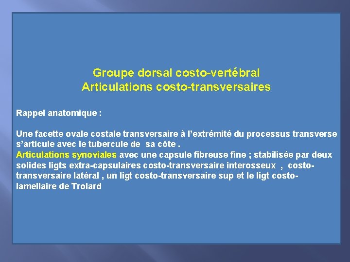 Groupe dorsal costo-vertébral Articulations costo-transversaires Rappel anatomique : Une facette ovale costale transversaire à