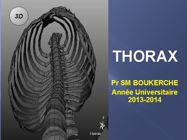 3 D THORAX Pr SM BOUKERCHE Année Universitaire 2013 -2014 