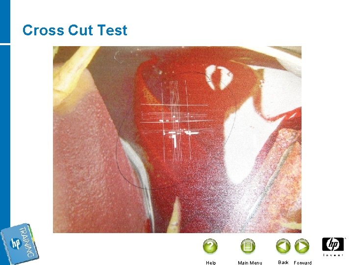 Cross Cut Test Help Main Menu Back Forward 