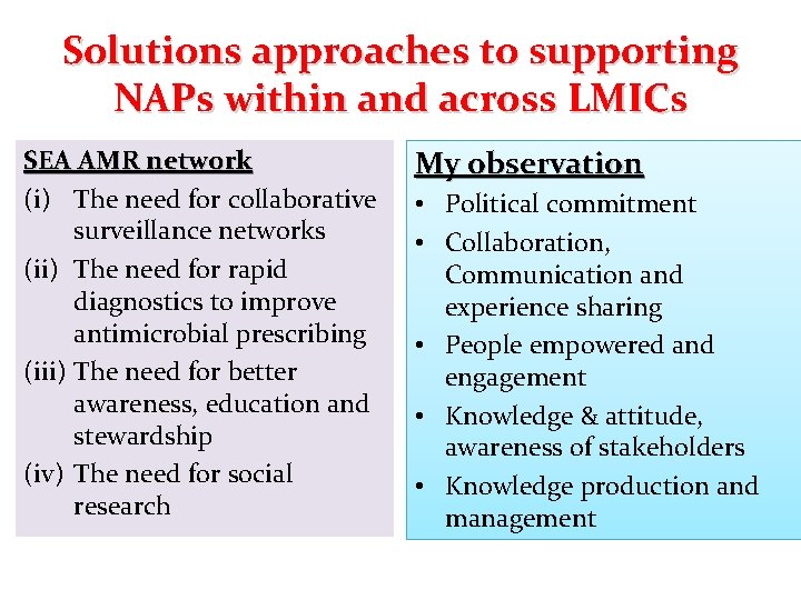 Solutions approaches to supporting NAPs within and across LMICs SEA AMR network (i) The