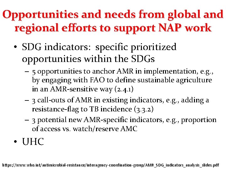 Opportunities and needs from global and regional efforts to support NAP work • SDG