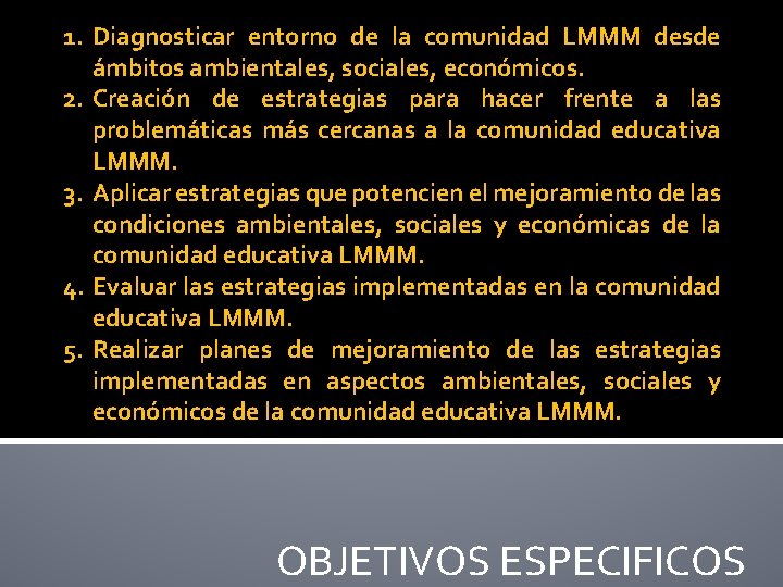 1. Diagnosticar entorno de la comunidad LMMM desde ámbitos ambientales, sociales, económicos. 2. Creación