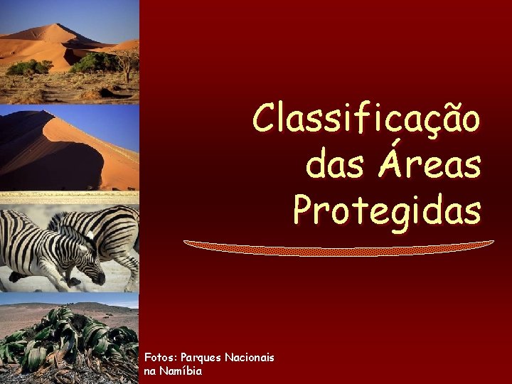 Classificação das Áreas Protegidas Fotos: Parques Nacionais na Namíbia 