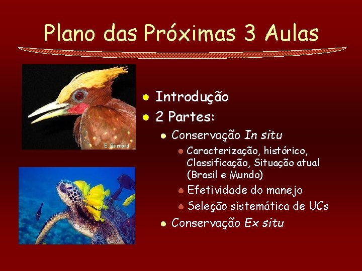 Plano das Próximas 3 Aulas l l Introdução 2 Partes: l E. Bernard Conservação