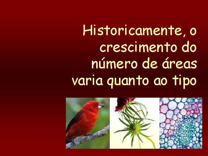 Historicamente, o crescimento do número de áreas varia quanto ao tipo 