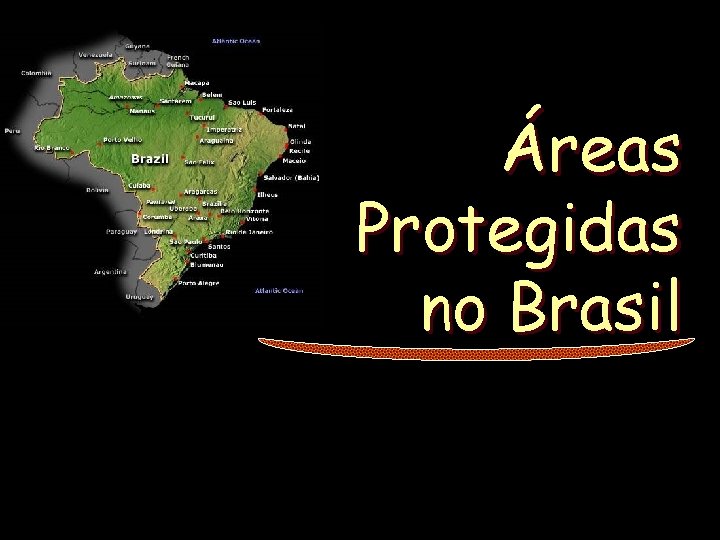 Áreas Protegidas no Brasil 