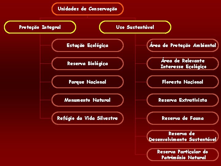 Unidades de Conservação Proteção Integral Uso Sustentável Estação Ecológica Área de Proteção Ambiental Reserva