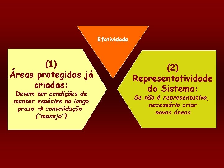 Efetividade (1) Áreas protegidas já criadas: Devem ter condições de manter espécies no longo