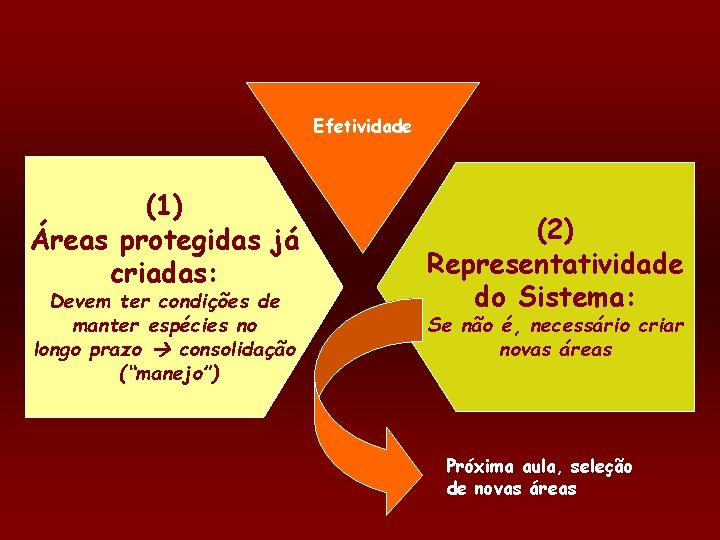 Efetividade (1) Áreas protegidas já criadas: Devem ter condições de manter espécies no longo