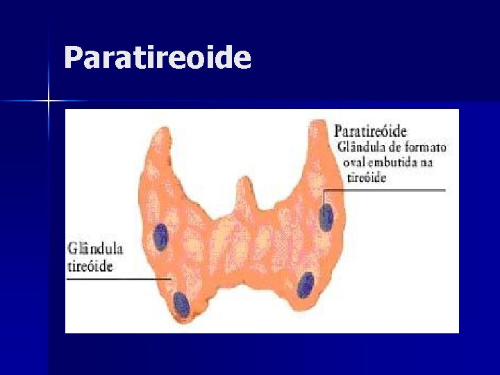 Paratireoide 